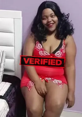 Sophia sex Find a prostitute Campo Belo